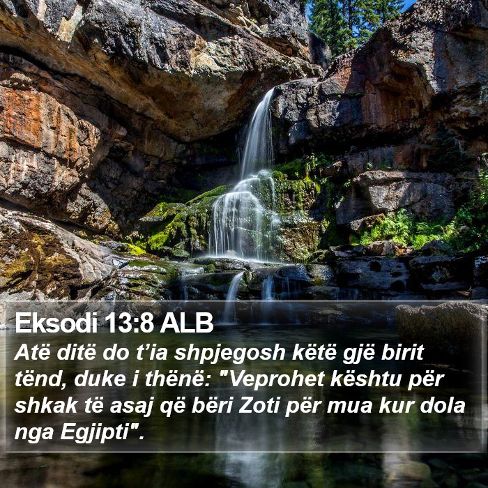 Eksodi 13:8 ALB Bible Study
