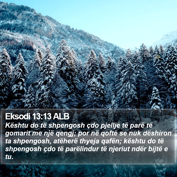 Eksodi 13:13 ALB Bible Study