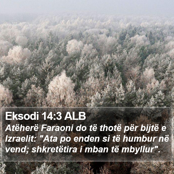 Eksodi 14:3 ALB Bible Study