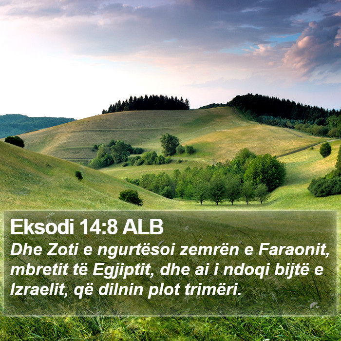 Eksodi 14:8 ALB Bible Study