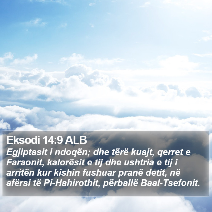 Eksodi 14:9 ALB Bible Study