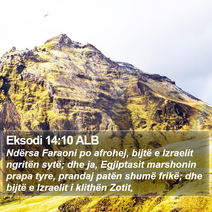 Eksodi 14:10 ALB Bible Study