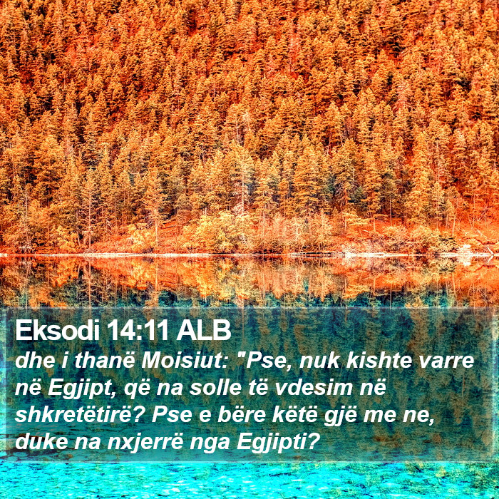 Eksodi 14:11 ALB Bible Study