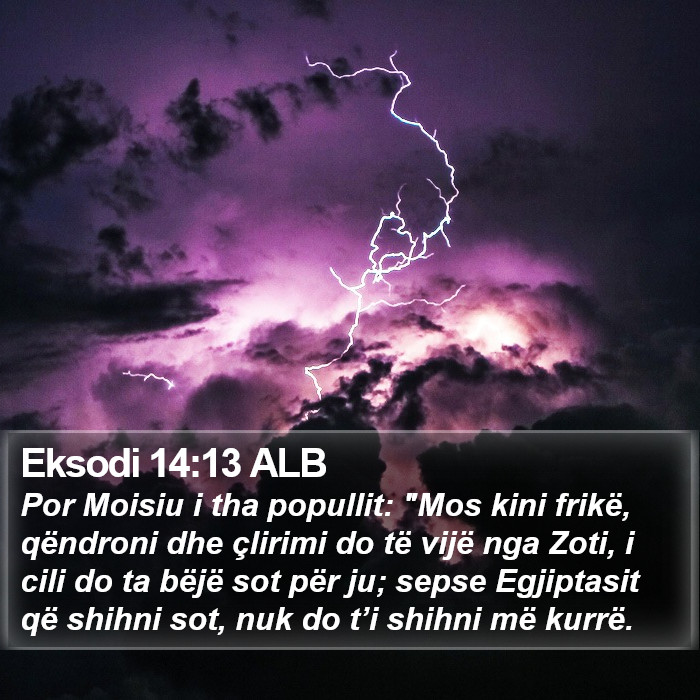 Eksodi 14:13 ALB Bible Study