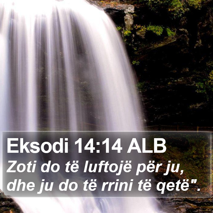 Eksodi 14:14 ALB Bible Study