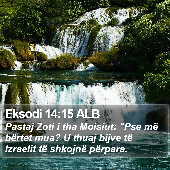 Eksodi 14:15 ALB Bible Study