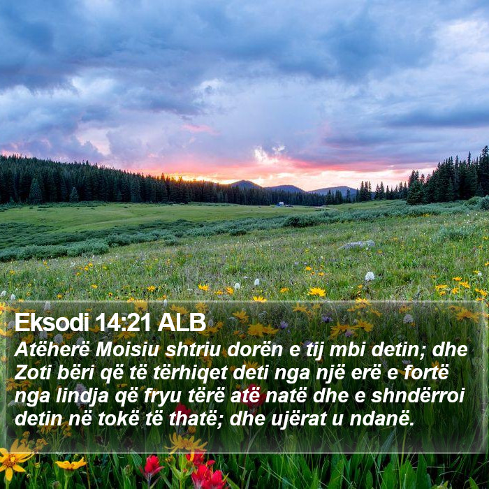 Eksodi 14:21 ALB Bible Study