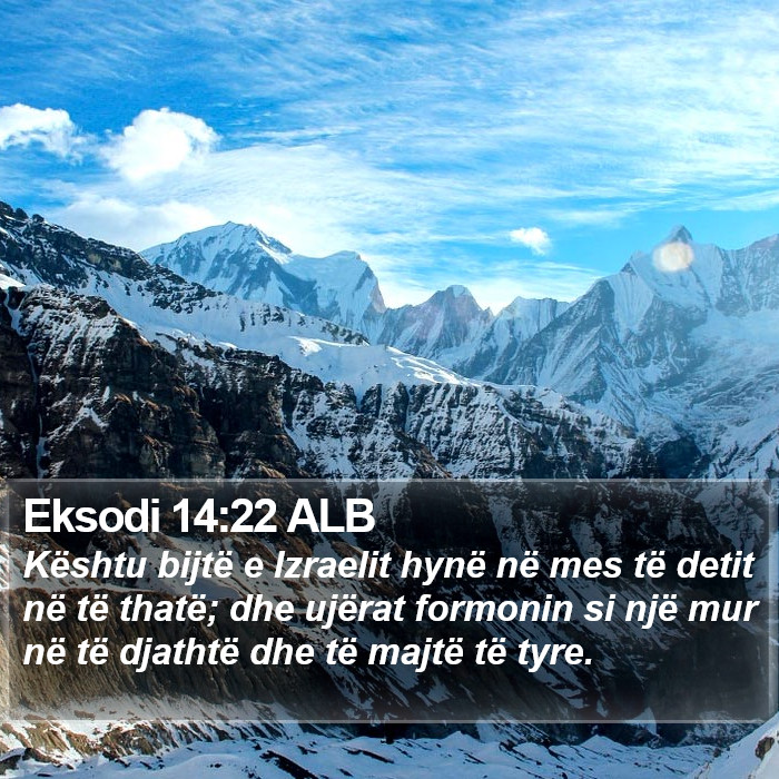 Eksodi 14:22 ALB Bible Study