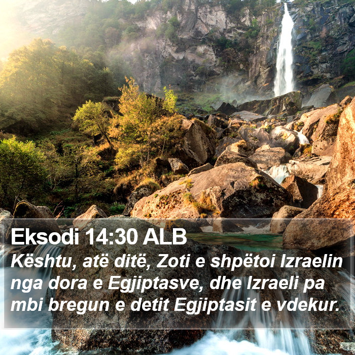 Eksodi 14:30 ALB Bible Study