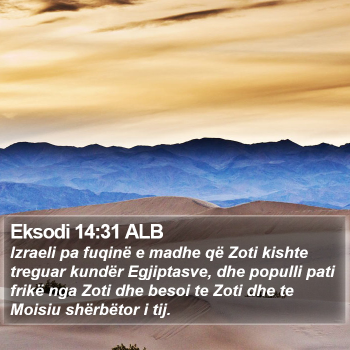 Eksodi 14:31 ALB Bible Study