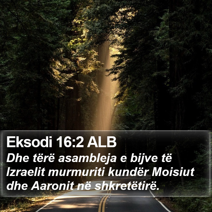 Eksodi 16:2 ALB Bible Study