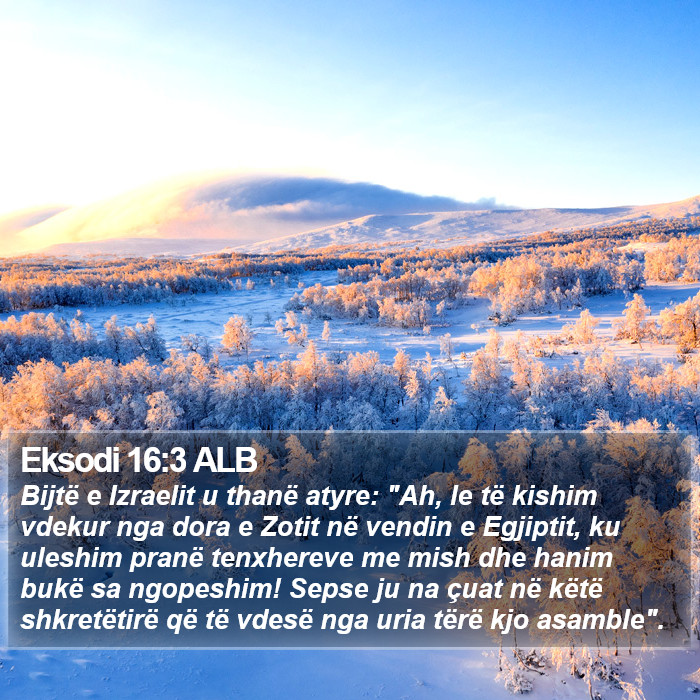 Eksodi 16:3 ALB Bible Study