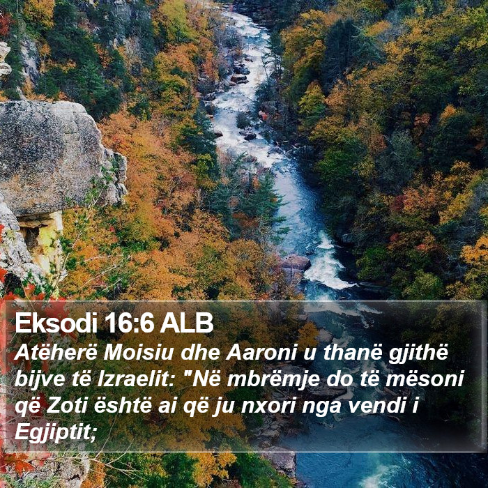 Eksodi 16:6 ALB Bible Study