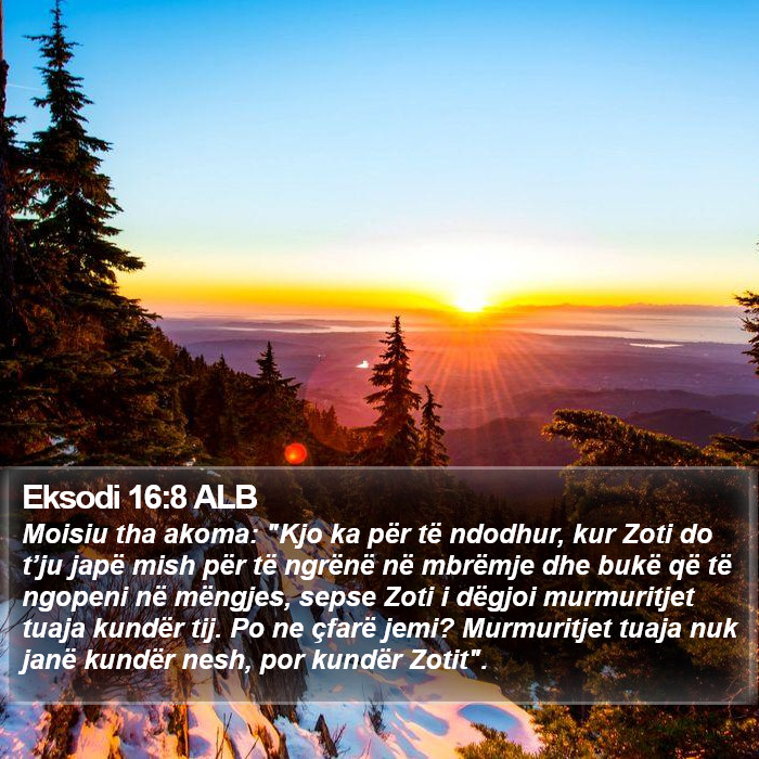 Eksodi 16:8 ALB Bible Study