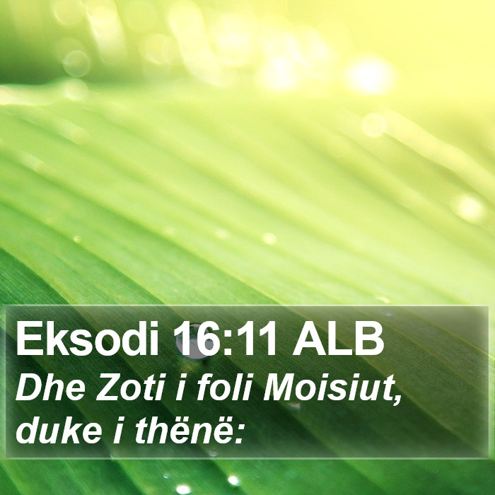 Eksodi 16:11 ALB Bible Study