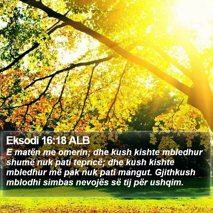 Eksodi 16:18 ALB Bible Study