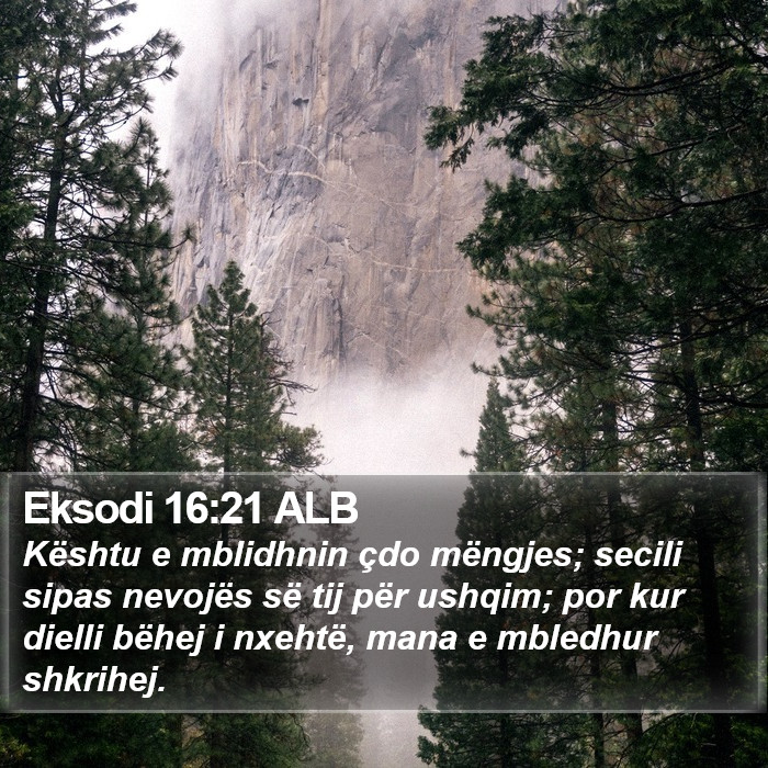 Eksodi 16:21 ALB Bible Study