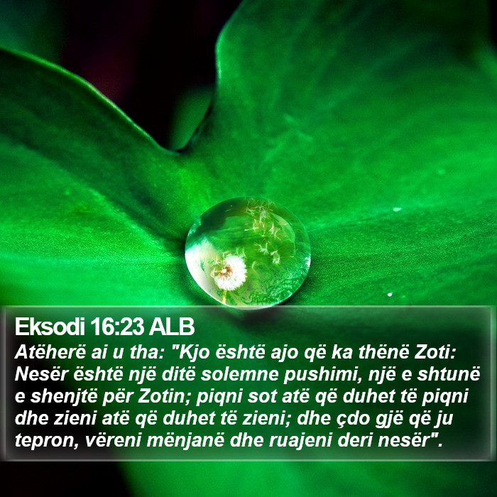 Eksodi 16:23 ALB Bible Study