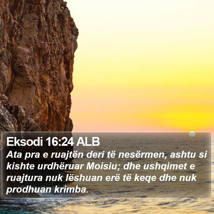 Eksodi 16:24 ALB Bible Study