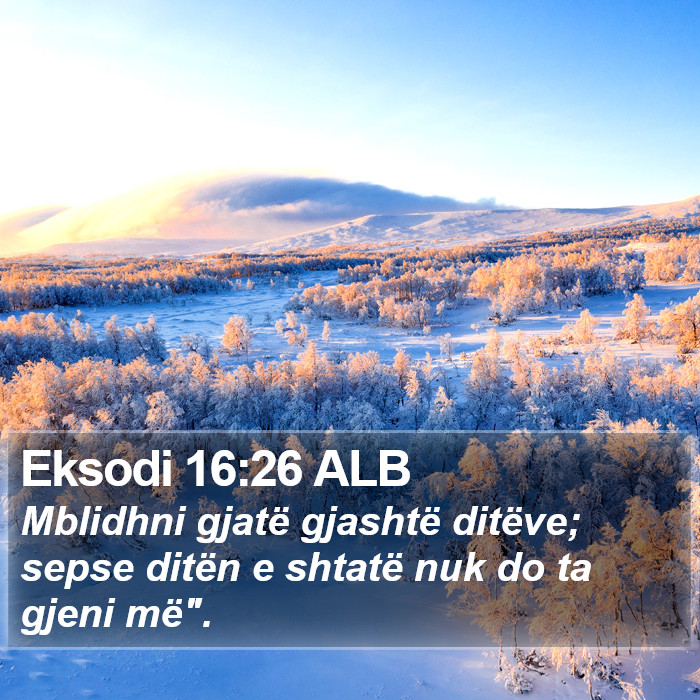 Eksodi 16:26 ALB Bible Study