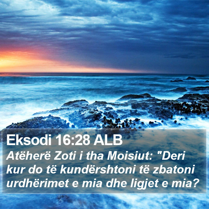 Eksodi 16:28 ALB Bible Study