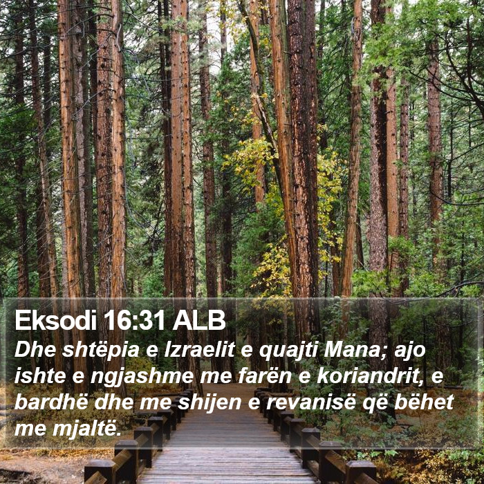 Eksodi 16:31 ALB Bible Study
