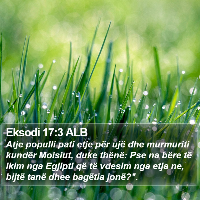 Eksodi 17:3 ALB Bible Study