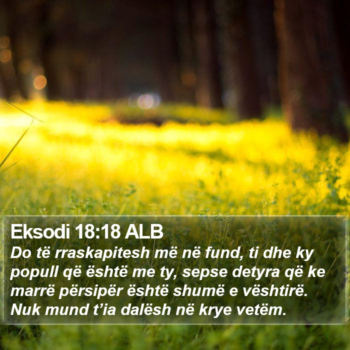 Eksodi 18:18 ALB Bible Study