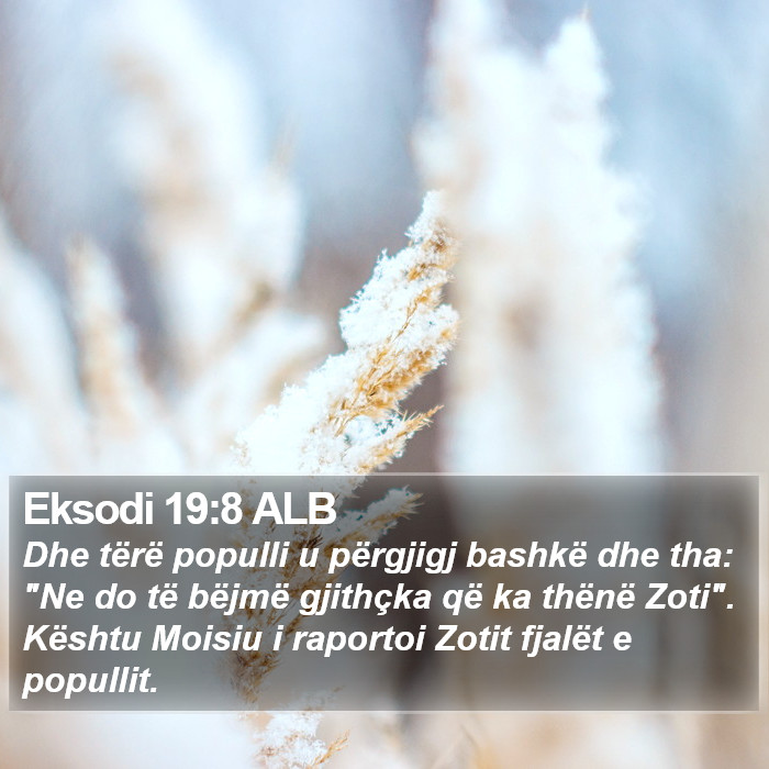 Eksodi 19:8 ALB Bible Study