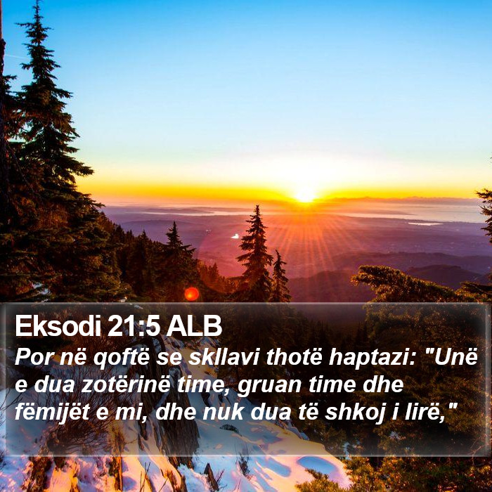 Eksodi 21:5 ALB Bible Study