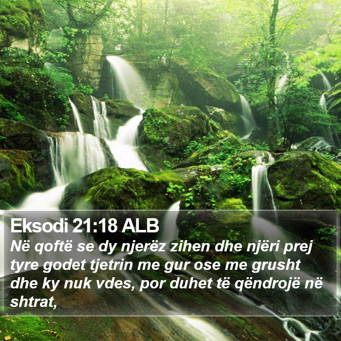 Eksodi 21:18 ALB Bible Study