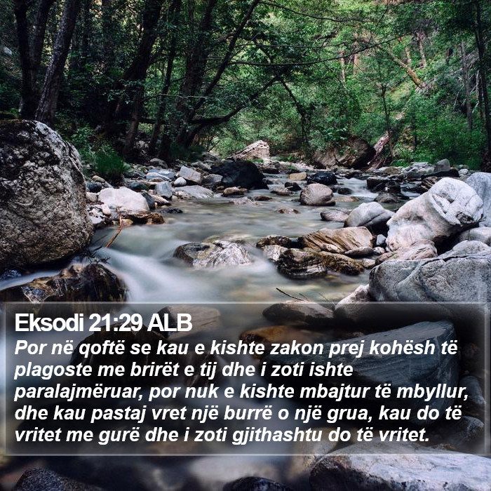 Eksodi 21:29 ALB Bible Study