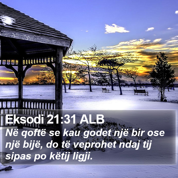 Eksodi 21:31 ALB Bible Study