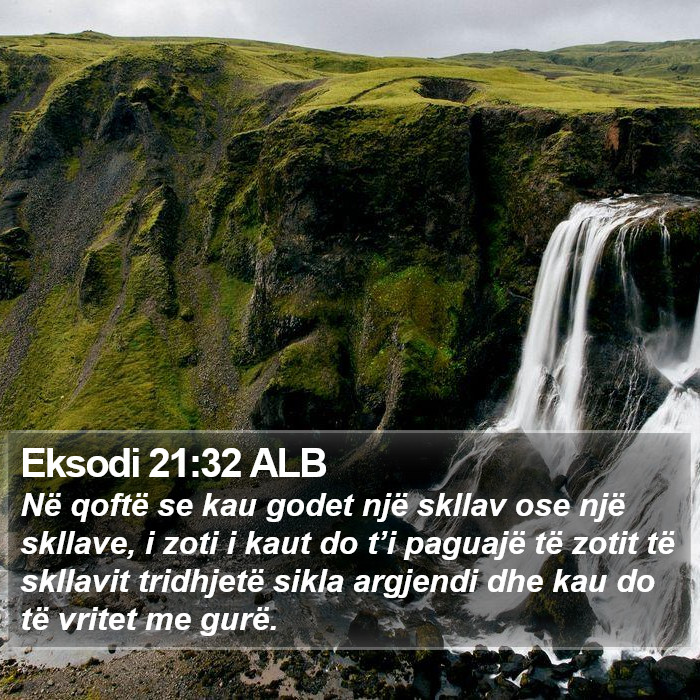 Eksodi 21:32 ALB Bible Study