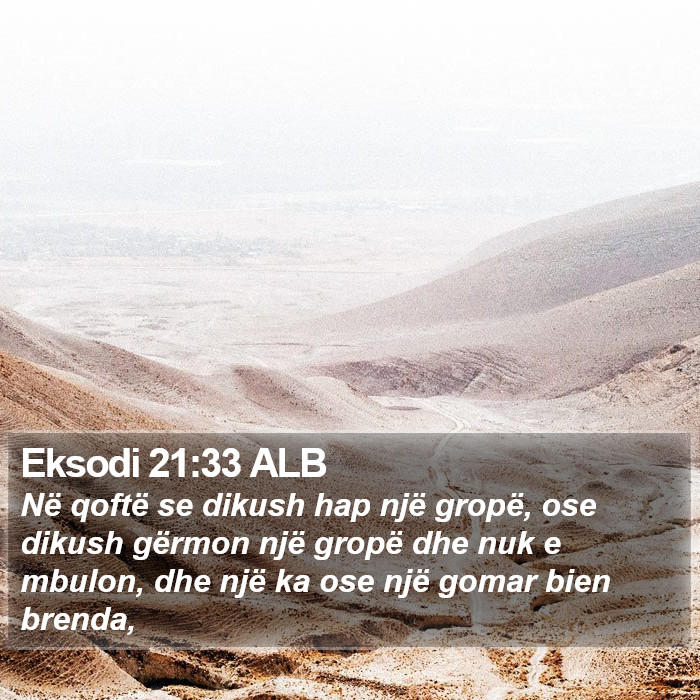 Eksodi 21:33 ALB Bible Study