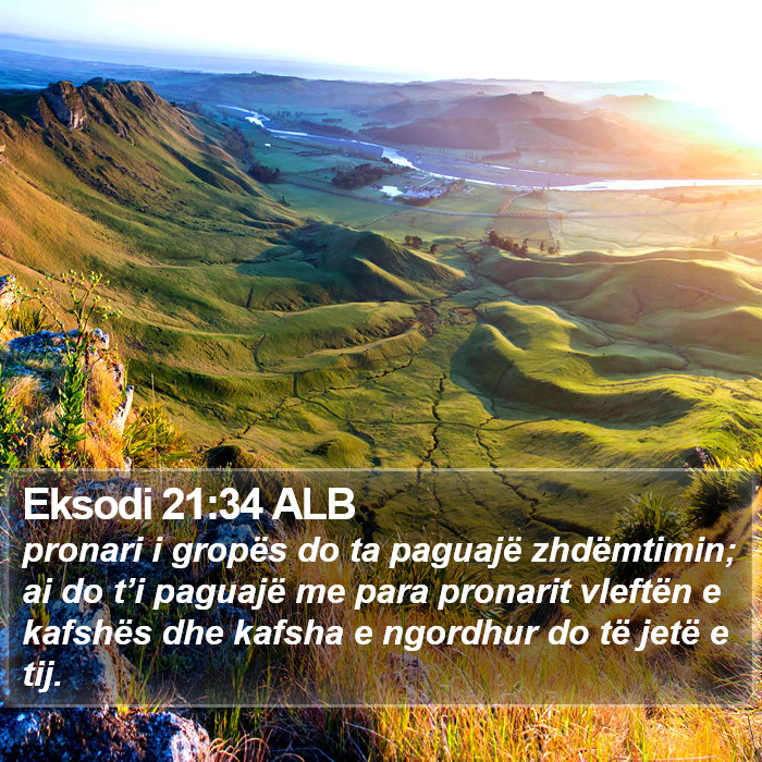 Eksodi 21:34 ALB Bible Study