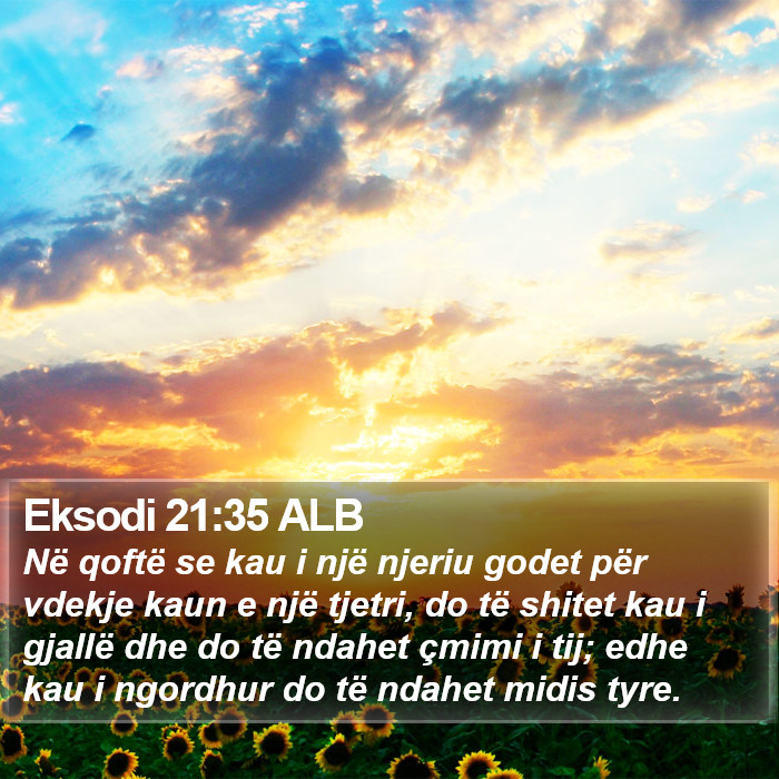 Eksodi 21:35 ALB Bible Study