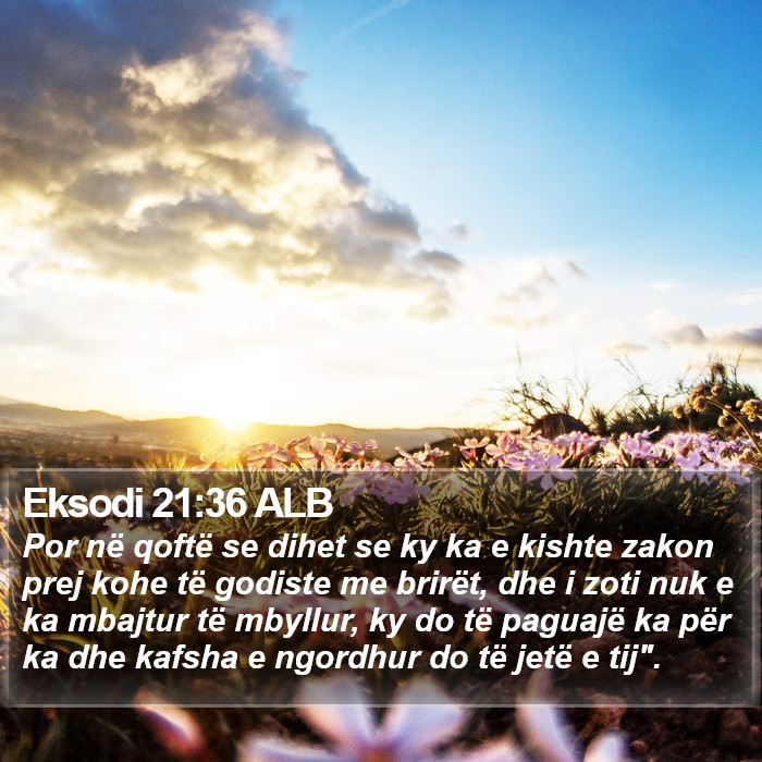 Eksodi 21:36 ALB Bible Study