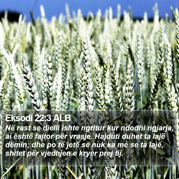 Eksodi 22:3 ALB Bible Study