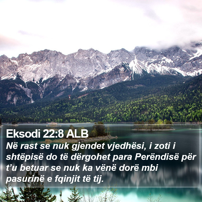 Eksodi 22:8 ALB Bible Study