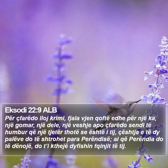 Eksodi 22:9 ALB Bible Study