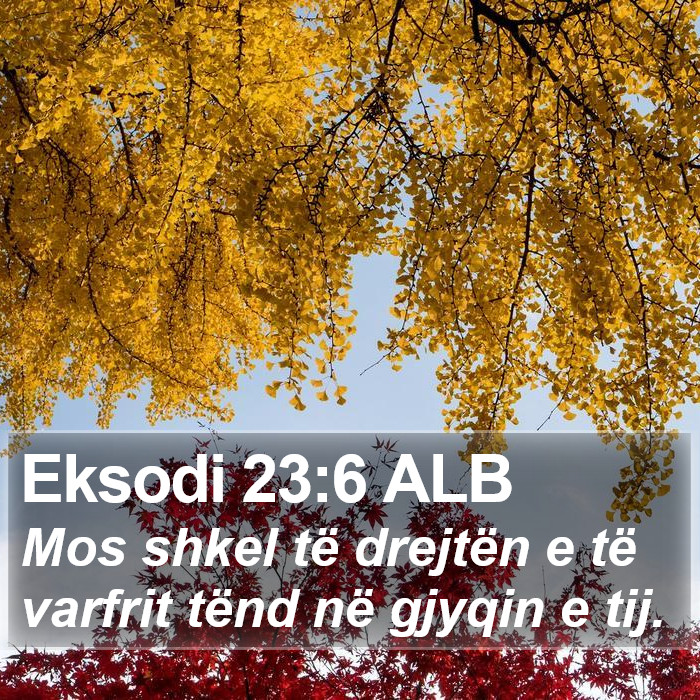 Eksodi 23:6 ALB Bible Study