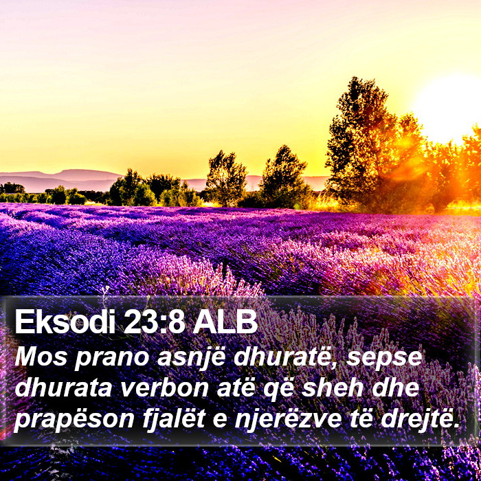 Eksodi 23:8 ALB Bible Study