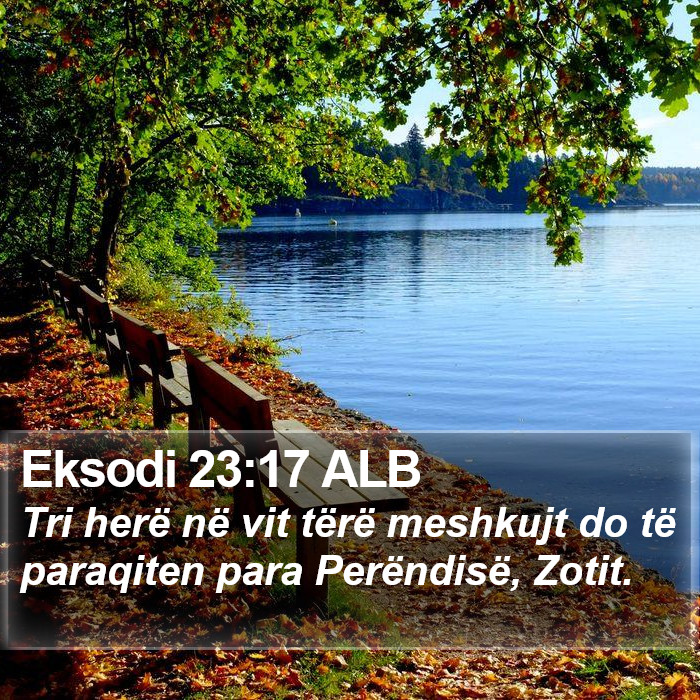 Eksodi 23:17 ALB Bible Study