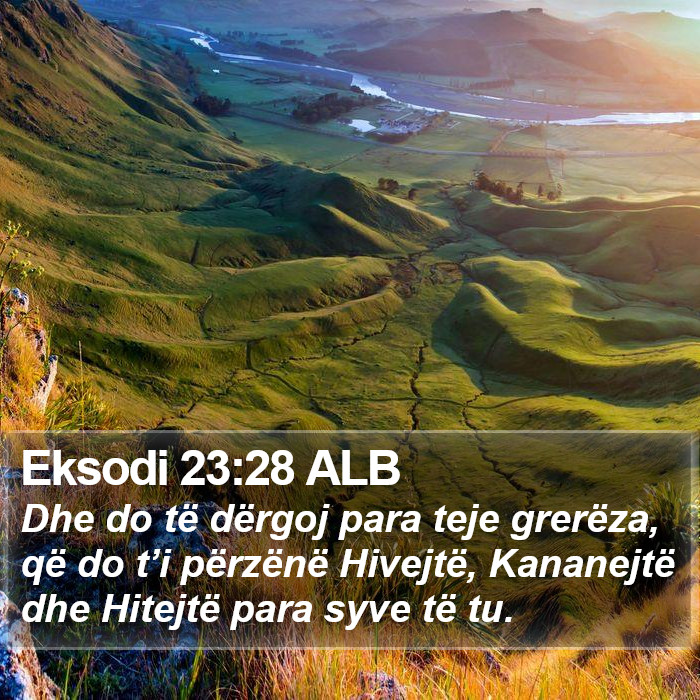 Eksodi 23:28 ALB Bible Study