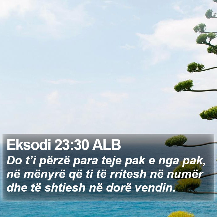 Eksodi 23:30 ALB Bible Study