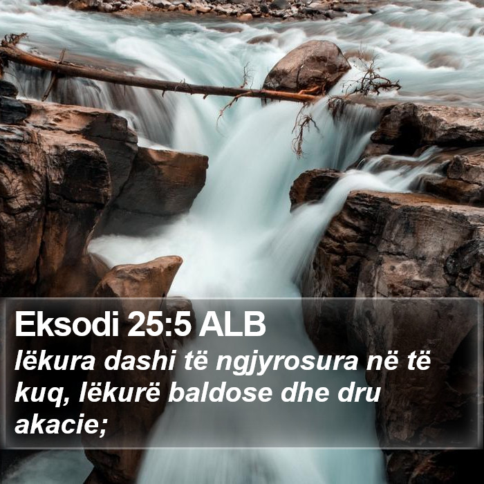 Eksodi 25:5 ALB Bible Study