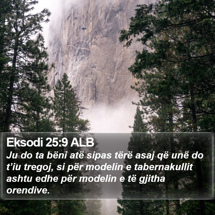 Eksodi 25:9 ALB Bible Study