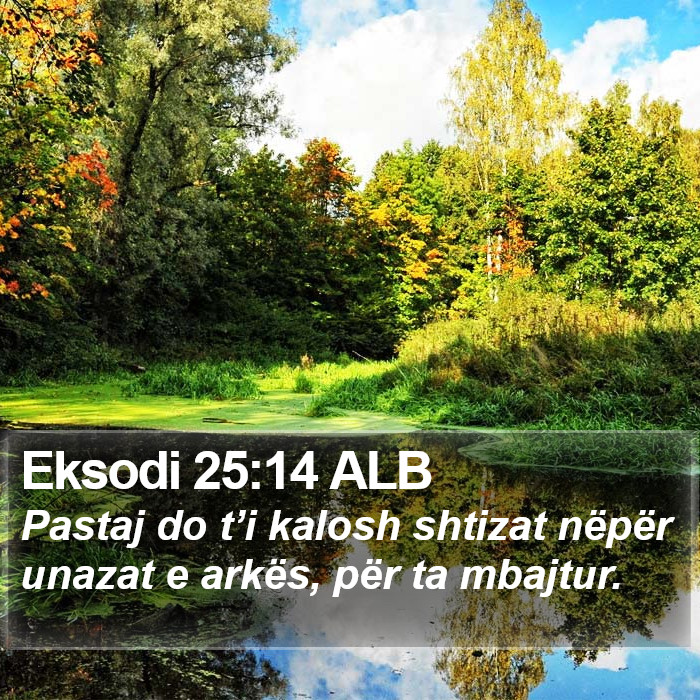 Eksodi 25:14 ALB Bible Study