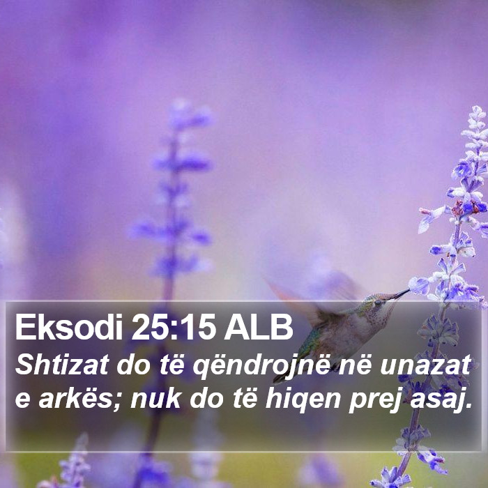 Eksodi 25:15 ALB Bible Study